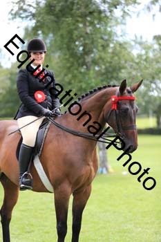 NNP-3873