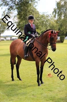 NNP-3877