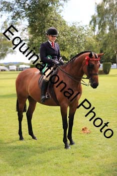 NNP-3878