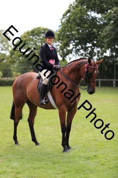 NNP-3897