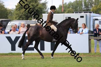 NNP-3986