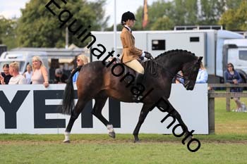 NNP-3997