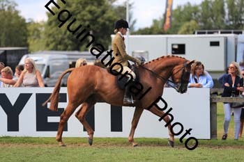 NNP-4058