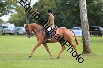 NNP-4148