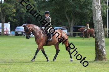 NNP-4182
