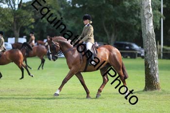 NNP-4187