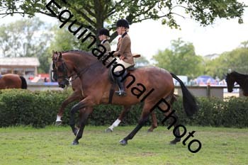 NNP-4201