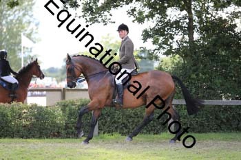 NNP-4208