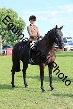 NNP-4389