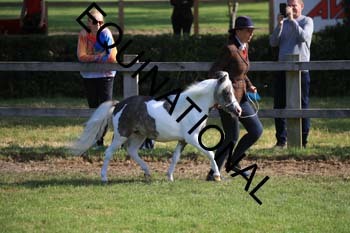 REX-1261