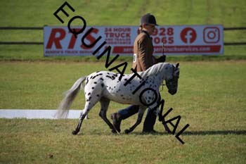 REX-1397