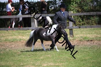 REX-1930