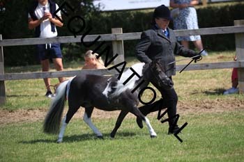REX-1934