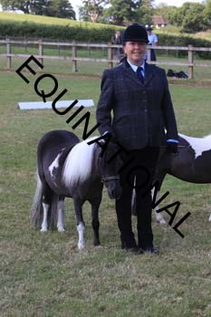 REX-2014