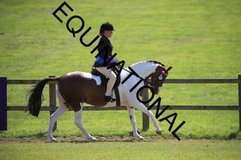 REX-2545