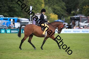 OZE-1180