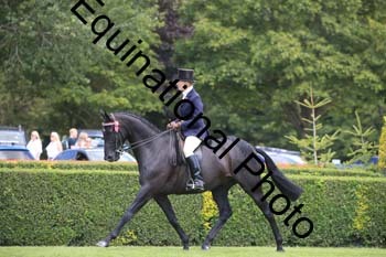 OZE-1608