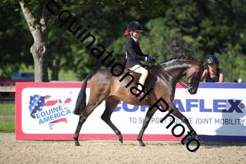 YBC-1680