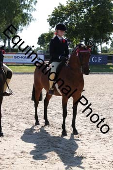 YBC-2010