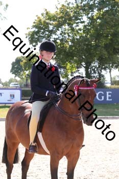 YBC-2011