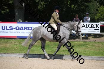 YBC-4192