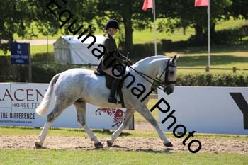 HHH-2556