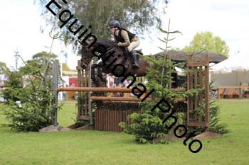 HHH-3153