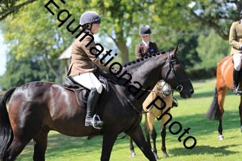 HHH-3353