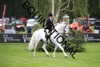 HEV-1273