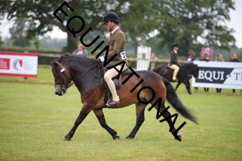 DOJ-1385