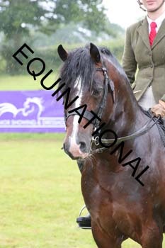DOJ-4739
