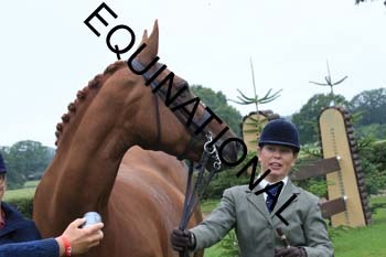 FRY-1499