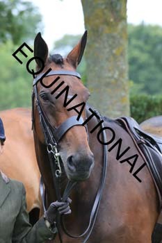FRY-1539