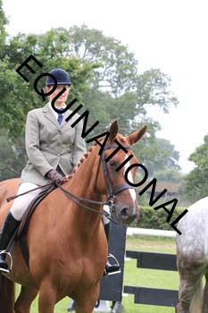 FRY-1709