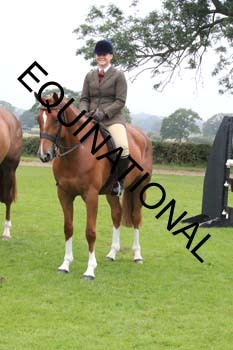 FRY-1727
