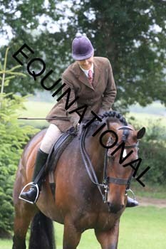 FRY-1781