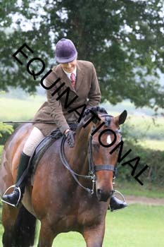 FRY-1782