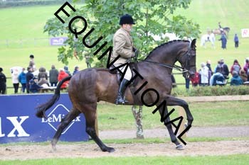 FRY-2010
