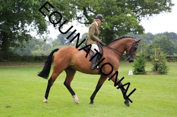 FRY-2017