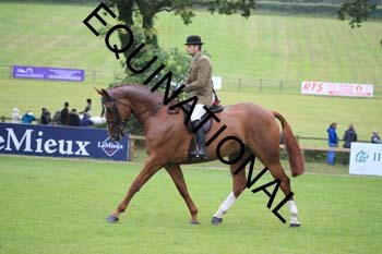 FRY-2174