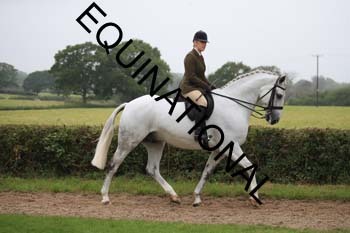 FRY-2224
