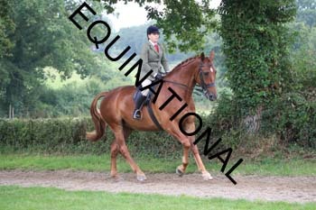 FRY-2272