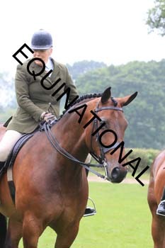 FRY-2360