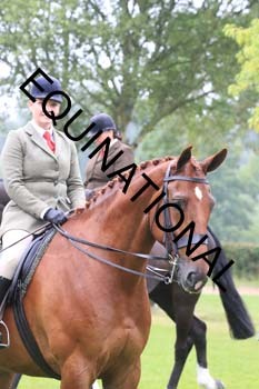 FRY-2370