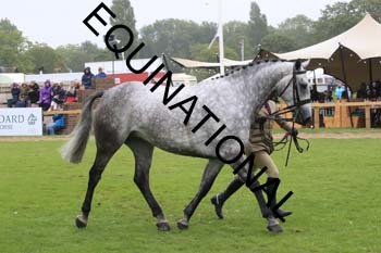 FRY-2540