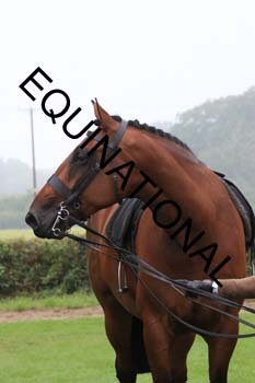 FRY-2566