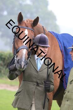 FRY-3394