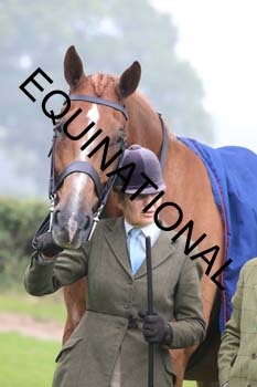 FRY-3395