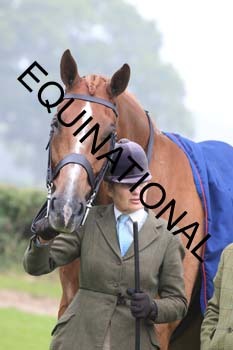 FRY-3396
