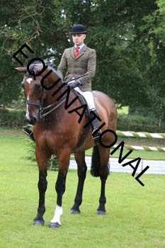 FRY-3462